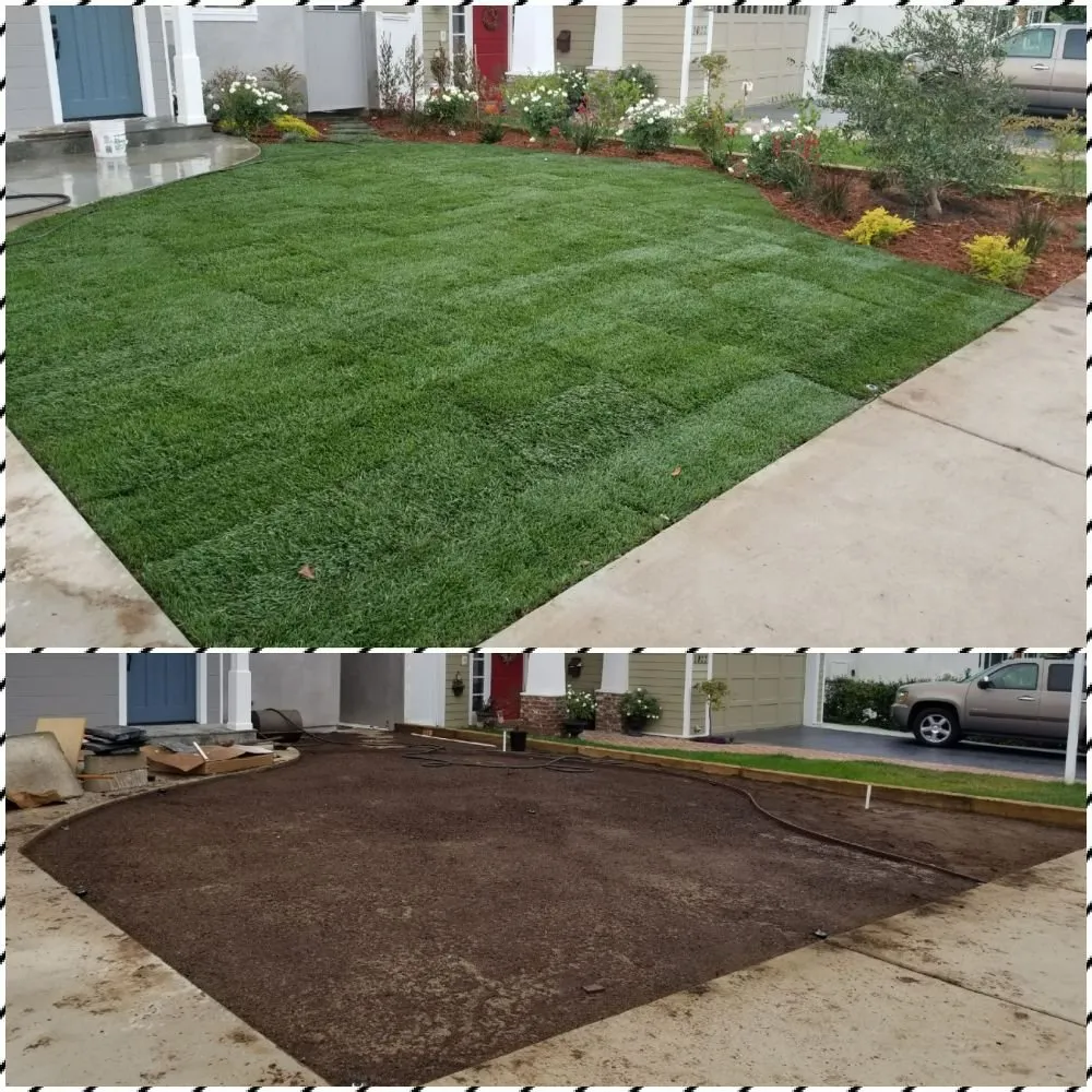 Expert landscaping services in Topanga, CA - Eco Green Landscape & Design