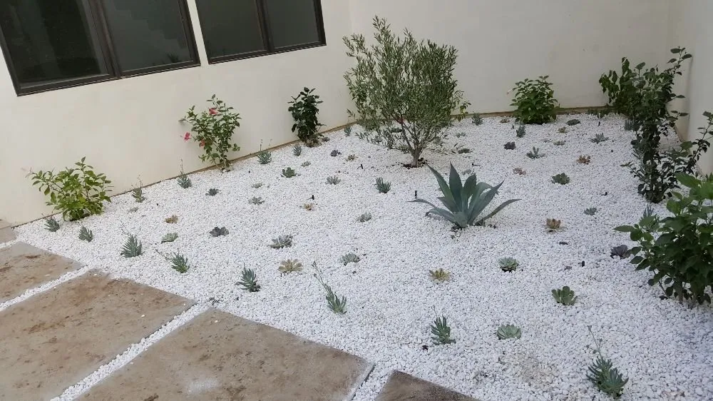 Expert lawn care service in Topanga, CA - Eco Green Landscape & Design