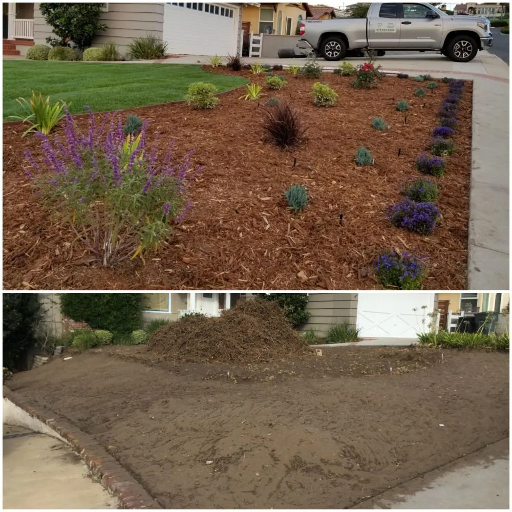 Local yard maintenance in Topanga, CA by Eco Green Landscape & Design