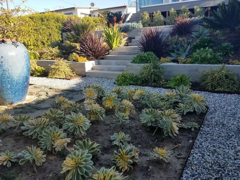 Professional lawn care service experts serving Topanga, CA - Eco Green Landscape & Design