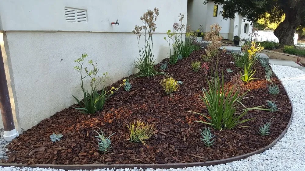 Local garden landscaping in Topanga, CA by Eco Green Landscape & Design