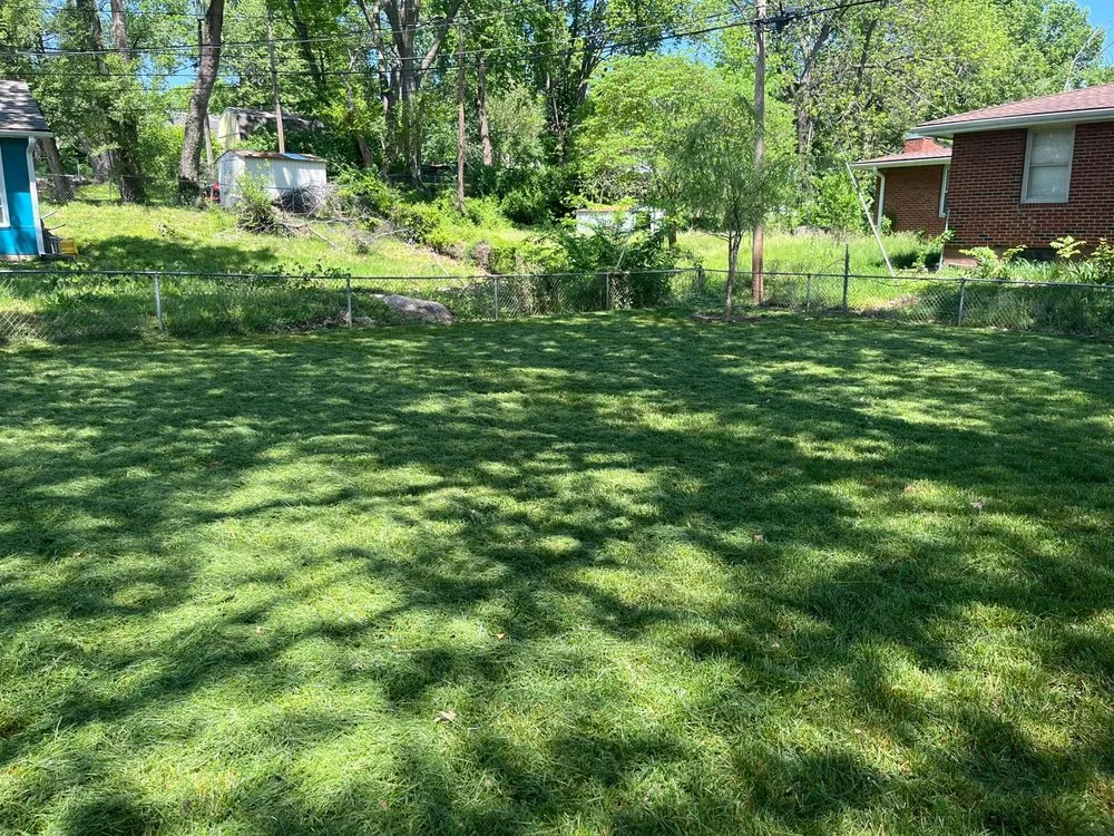 Local landscape installation experts serving Independence, MO - Eco Green Landscaping