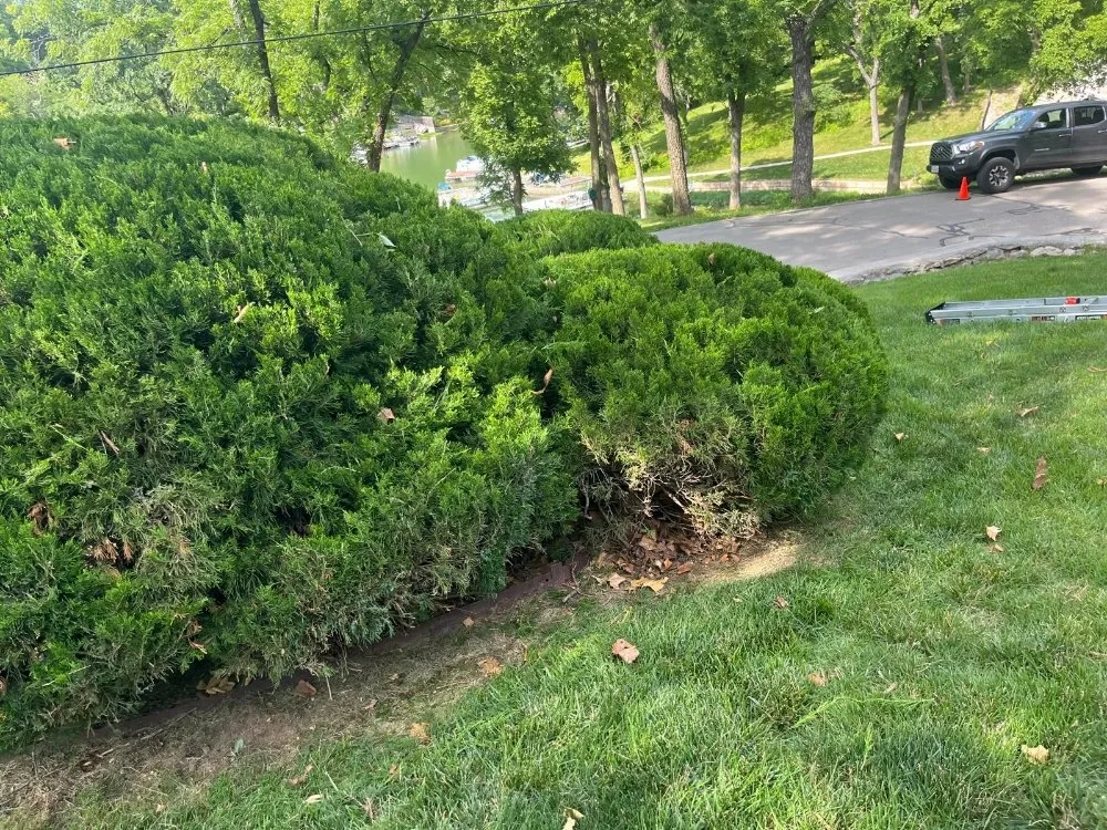 Reliable landscaping services for outdoor upgrades across Independence, MO - Eco Green Landscaping