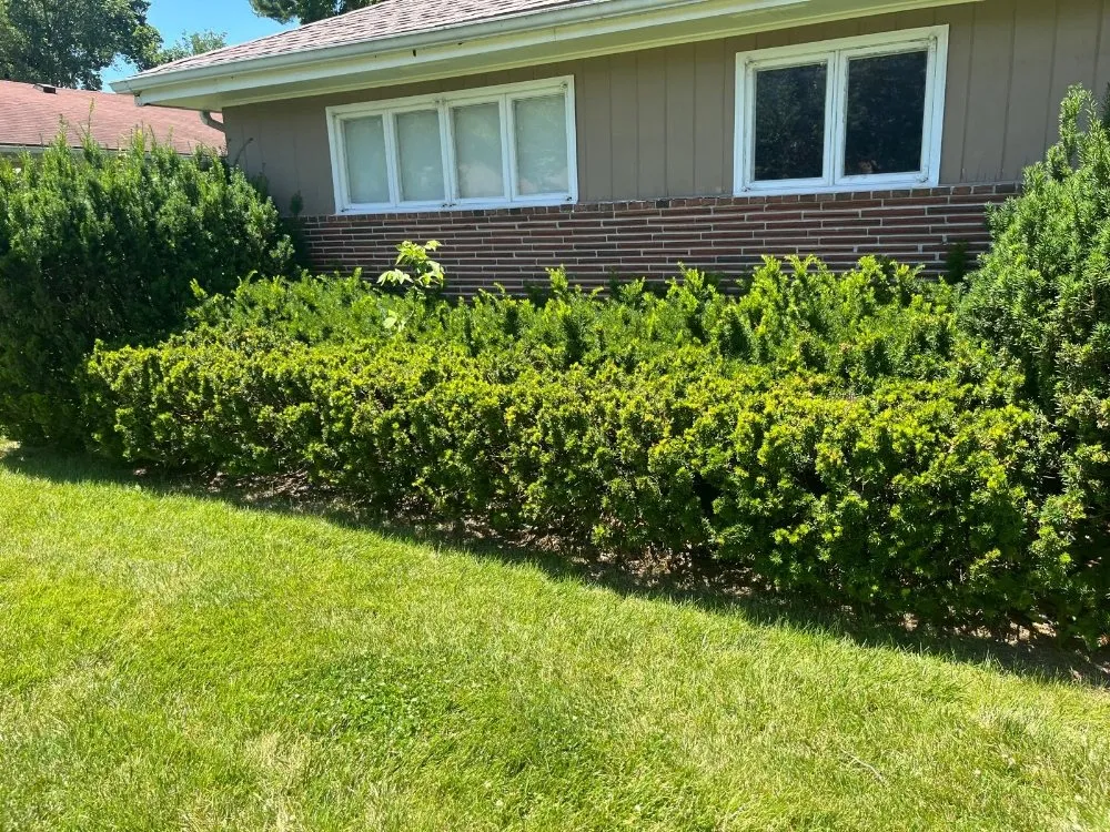 Custom residential landscaping in Independence, MO - Eco Green Landscaping