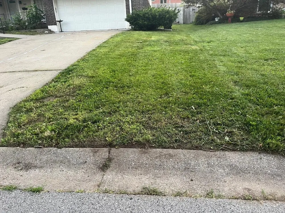 Top-rated yard cleanup service for residential properties across Independence, MO - Eco Green Landscaping