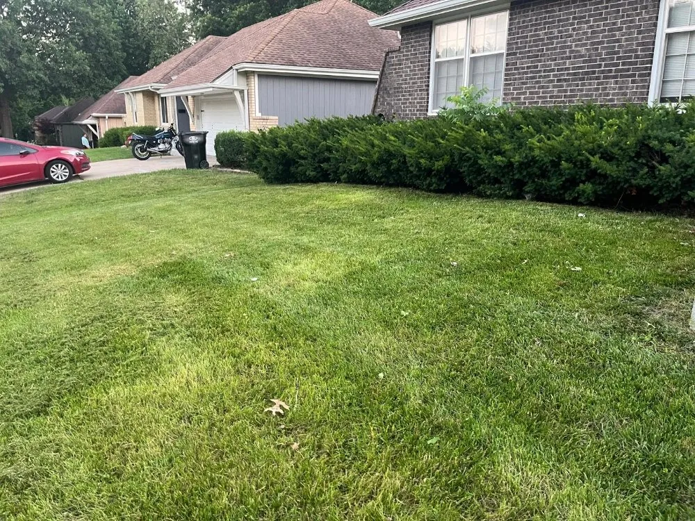 Top-rated yard maintenance in Independence, MO - Eco Green Landscaping