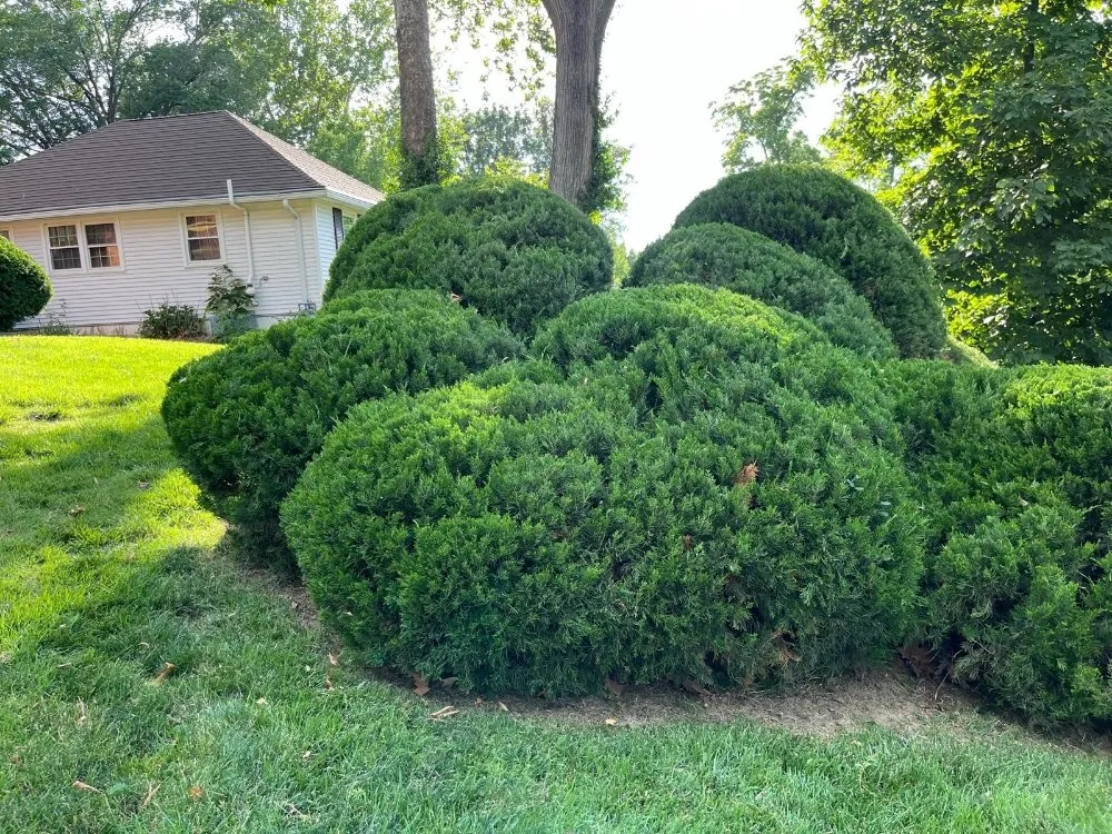 Custom garden landscaping for residential properties in Independence, MO by Eco Green Landscaping