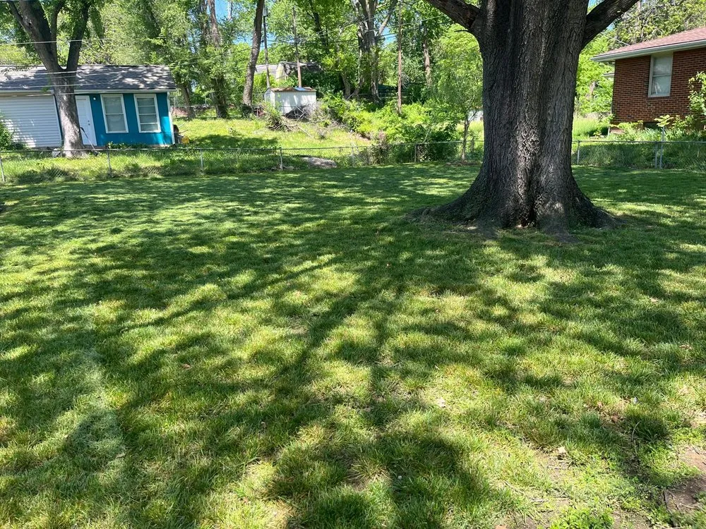 Top-rated garden landscaping experts serving Independence, MO - Eco Green Landscaping