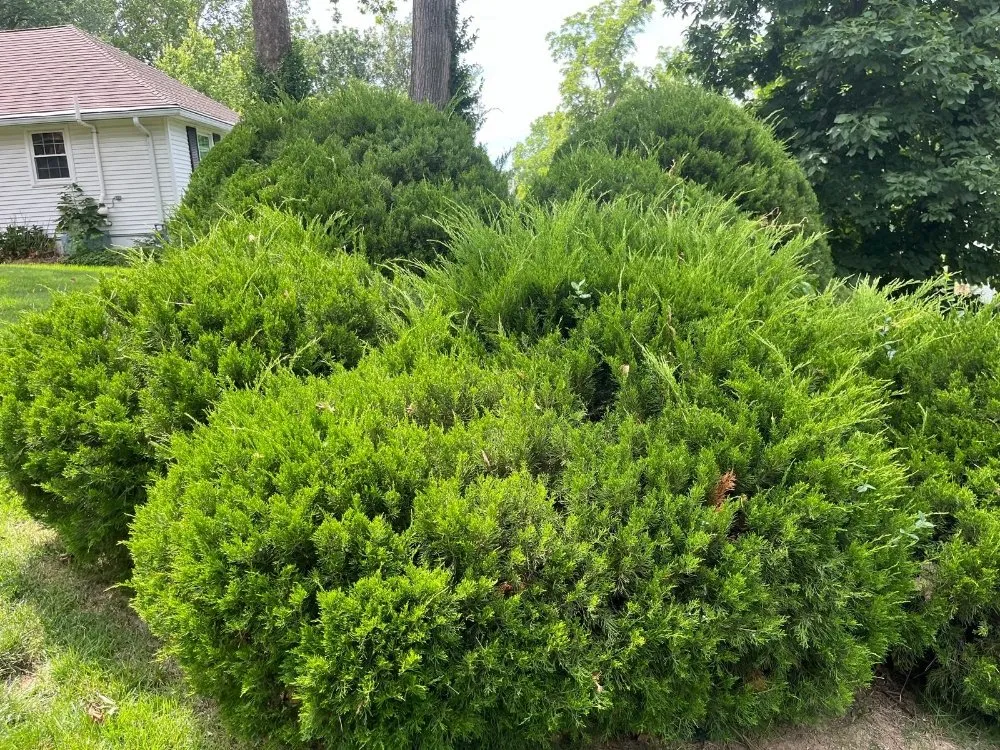 Custom outdoor landscaping in Independence, MO - Eco Green Landscaping