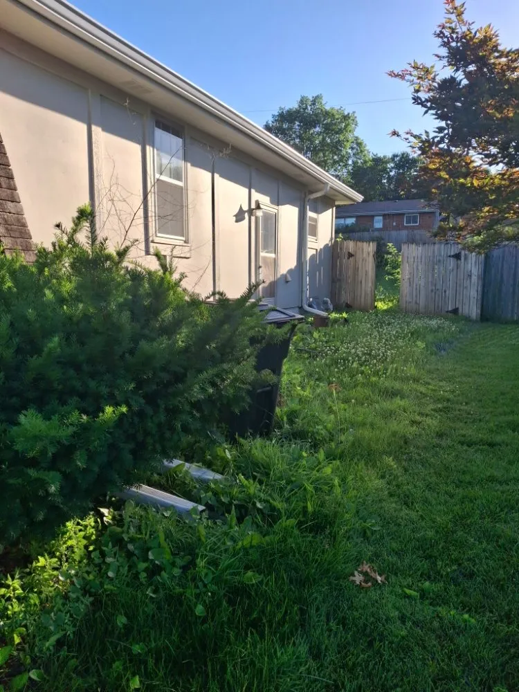 Trusted landscaping services for beautiful yards in Independence, MO by Eco Green Landscaping