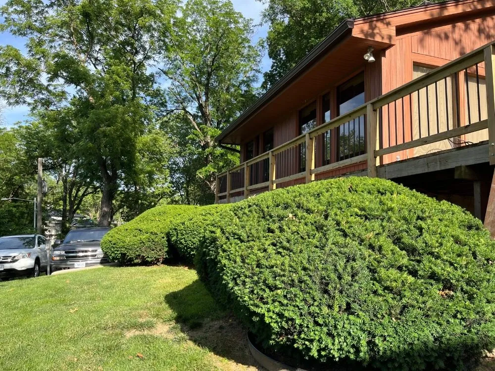 Affordable landscaping services for residential properties across Independence, MO - Eco Green Landscaping