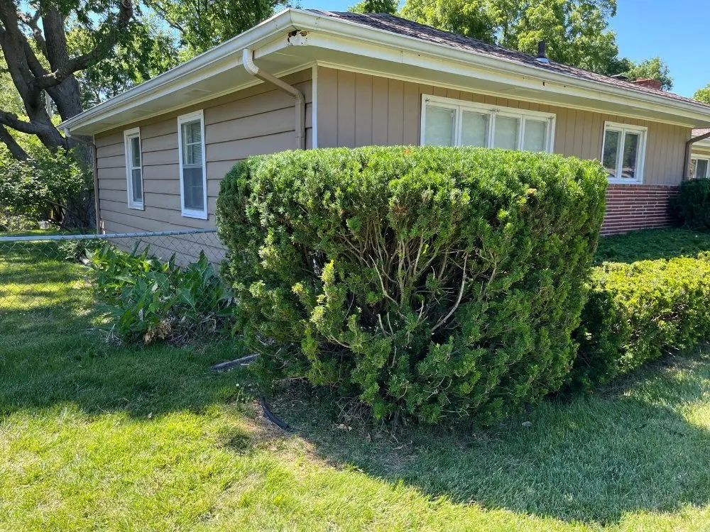 Expert landscape installation in Independence, MO by Eco Green Landscaping