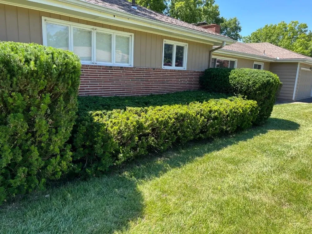 Custom residential landscaping in Independence, MO - Eco Green Landscaping