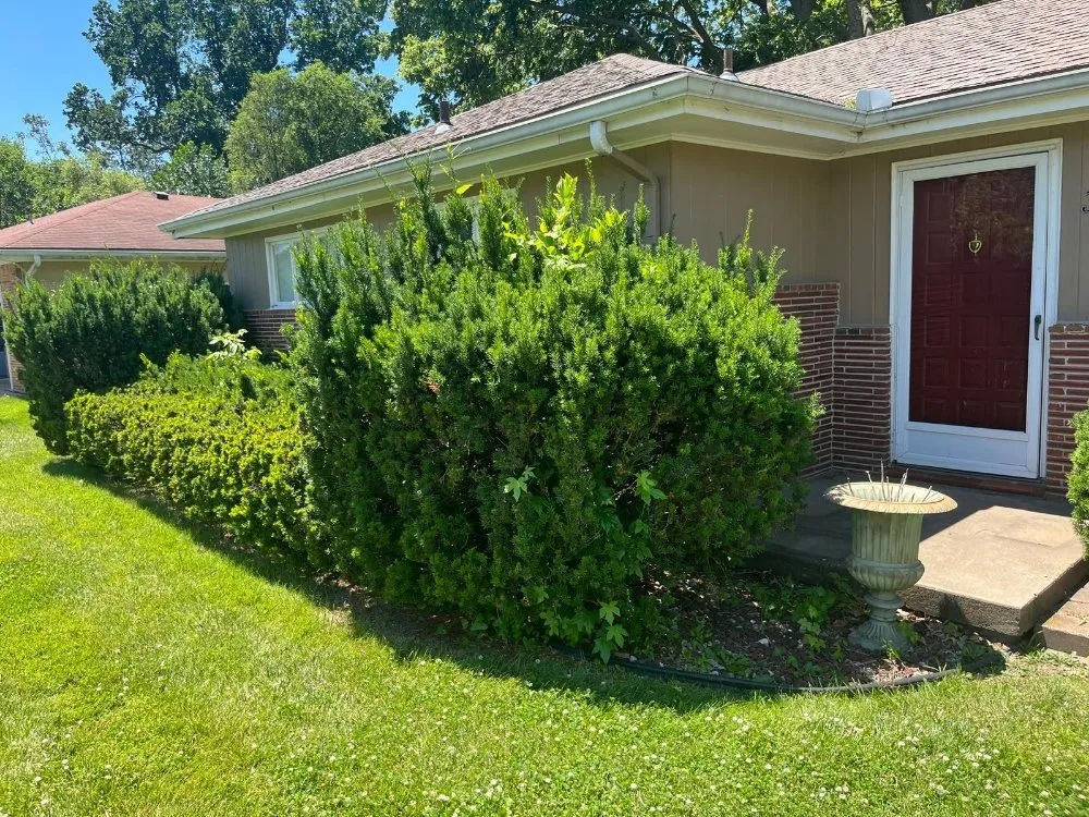 Expert outdoor landscaping in Independence, MO - Eco Green Landscaping