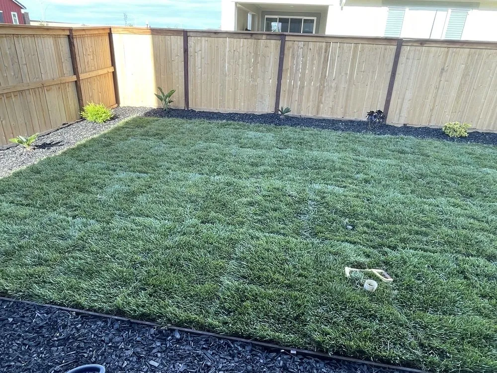 Custom residential landscaping in Sacramento, CA by Eco Green Landscaping