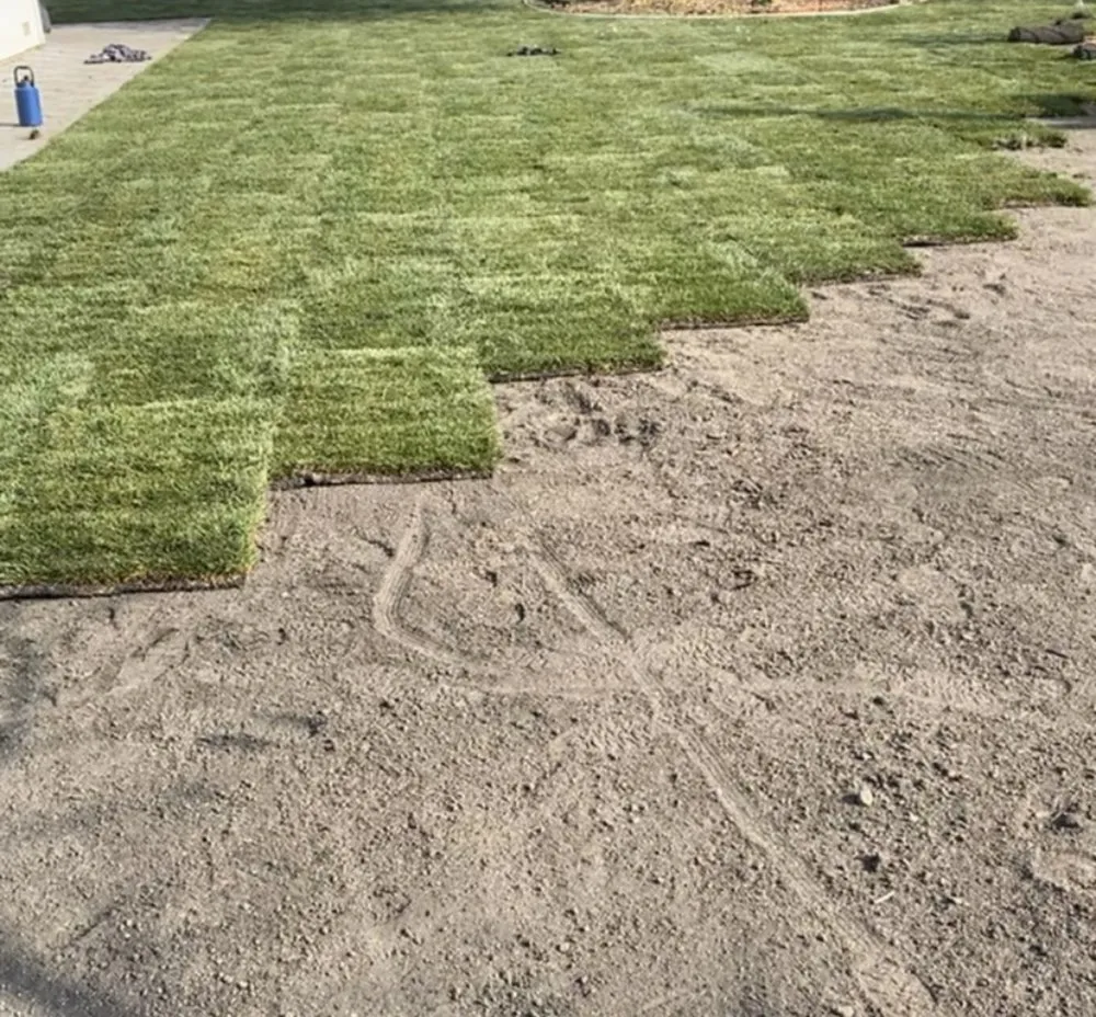 Trusted residential landscaping for year-round maintenance in Sacramento, CA by Eco Green Landscaping