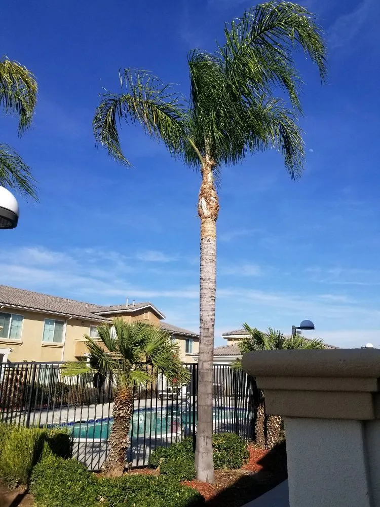 Local outdoor landscaping experts serving San Bernardino, CA - Eco Green Landscaping