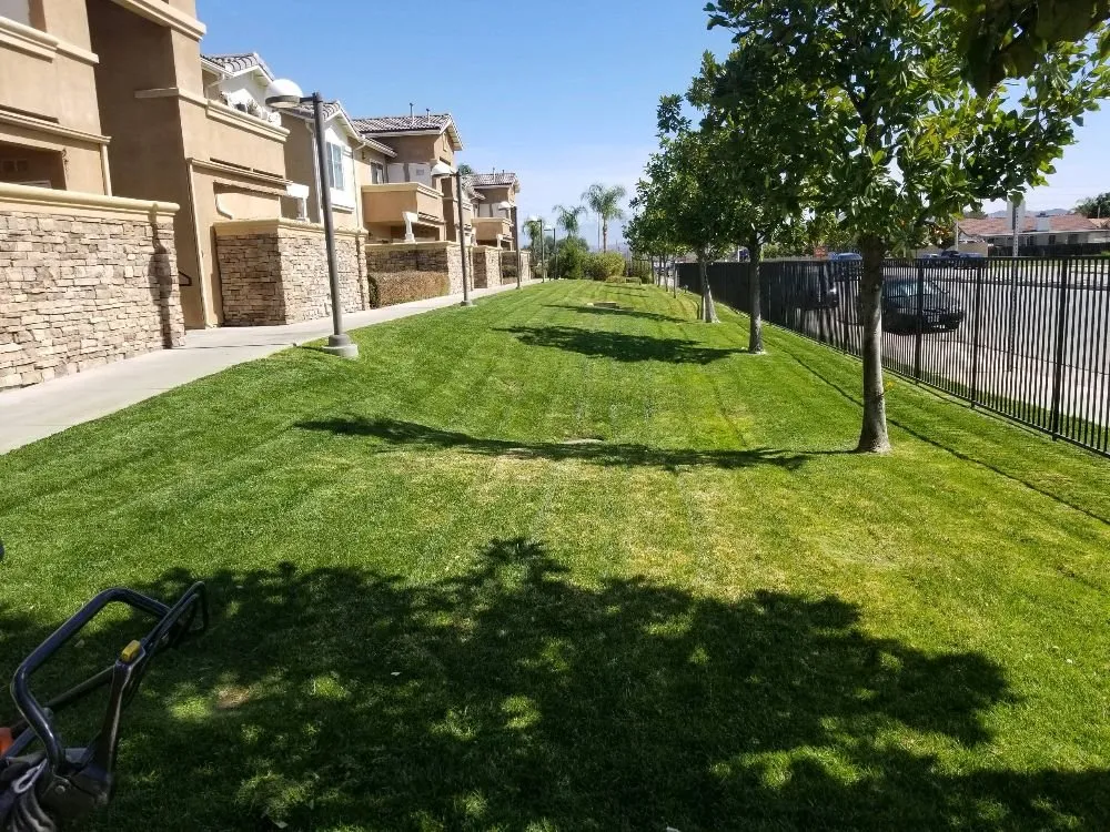 Custom garden landscaping experts serving San Bernardino, CA - Eco Green Landscaping