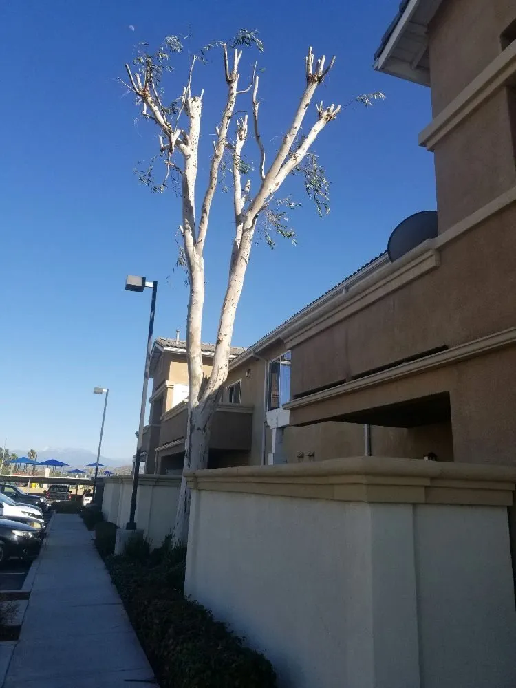 Custom residential landscaping in San Bernardino, CA - Eco Green Landscaping