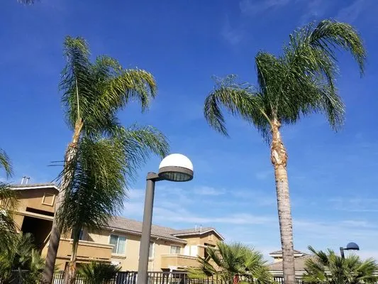 Eco Green Landscaping Logo