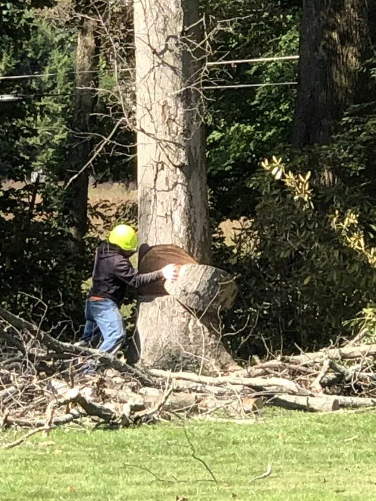 Local outdoor landscaping with custom design across Trenton, NJ - Eco Green Landscaping Services