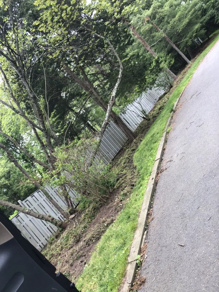 Affordable landscaping services in Trenton, NJ by Eco Green Landscaping Services