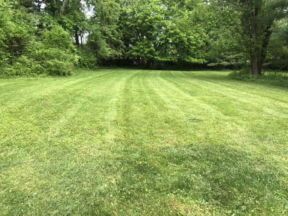 Professional yard cleanup service for residential properties in Trenton, NJ by Eco Green Landscaping Services