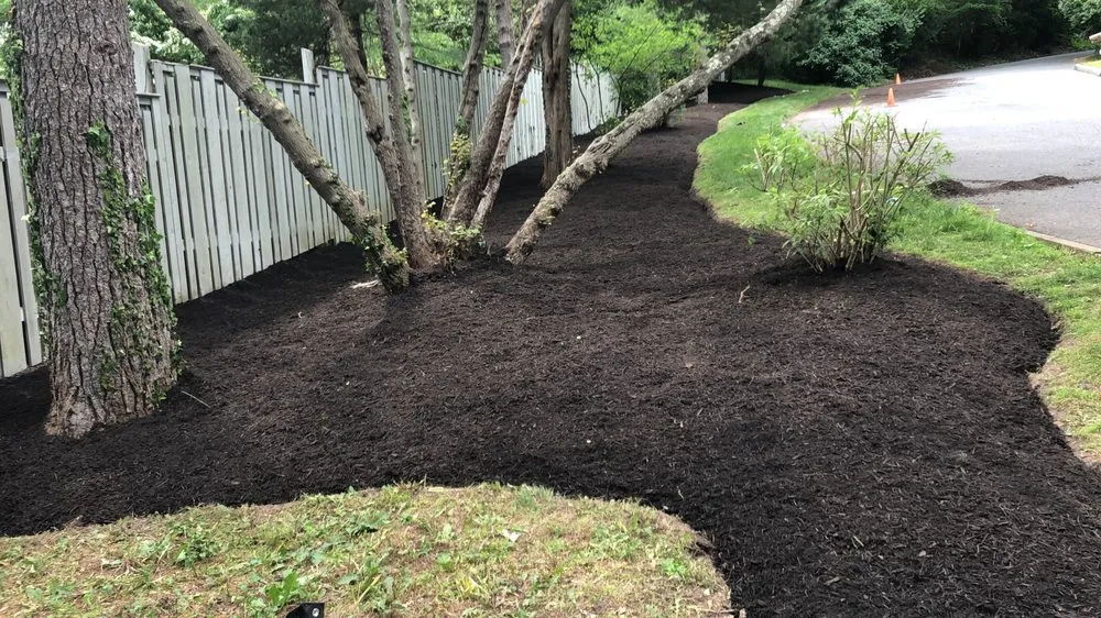 Expert yard cleanup service in Trenton, NJ by Eco Green Landscaping Services