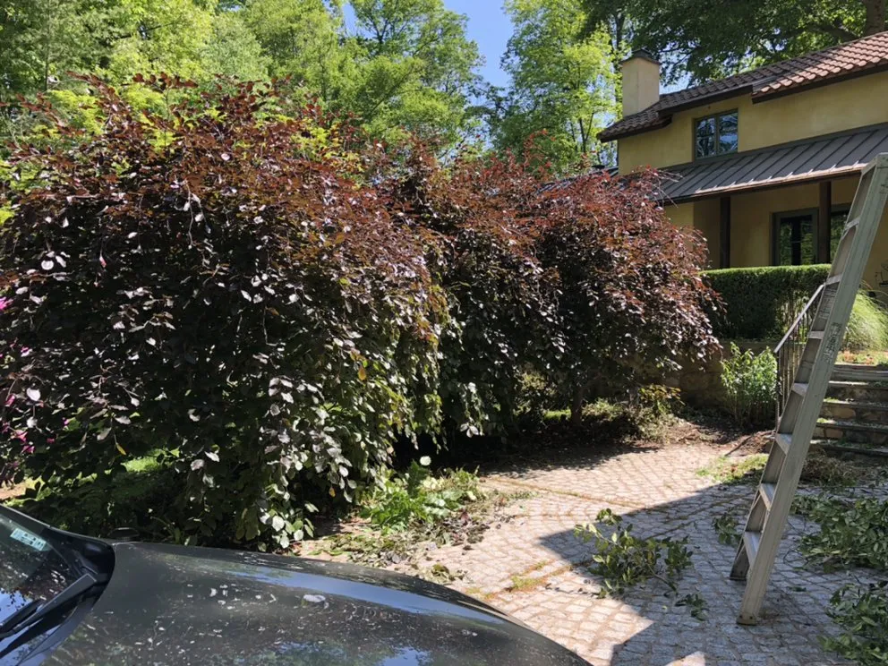 Trusted landscape design for year-round maintenance in Trenton, NJ by Eco Green Landscaping Services