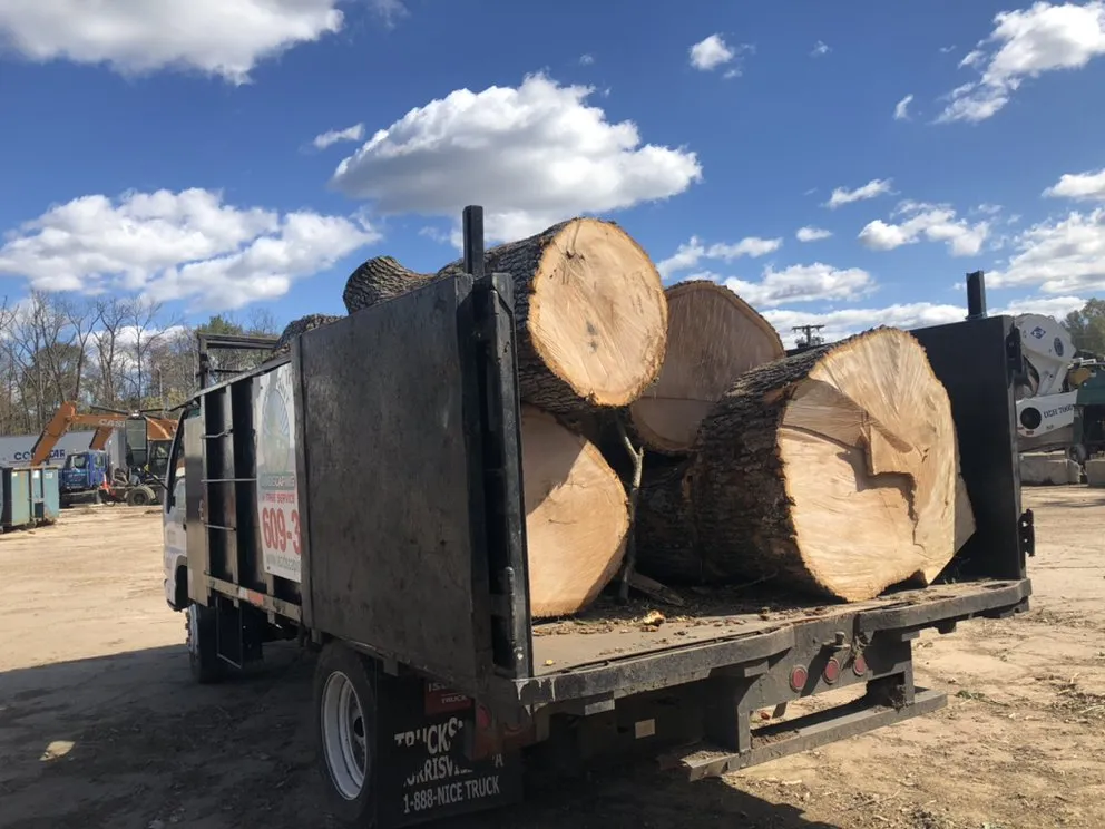 Trusted residential landscaping for outdoor upgrades across Trenton, NJ - Eco Green Landscaping Services