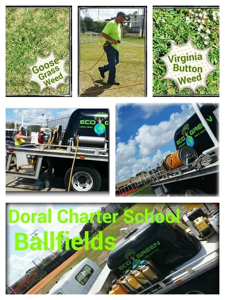 Local residential landscaping for homes across Hialeah, FL - Eco Green Lawn & Pest Control