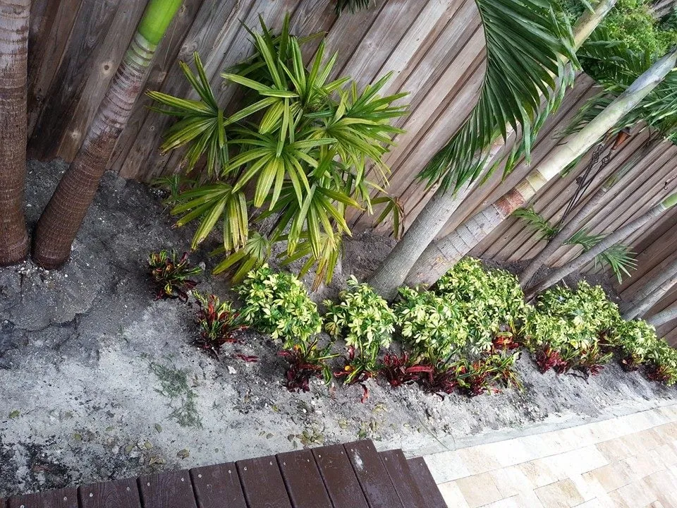 Professional landscape installation for beautiful yards across Hialeah, FL - Eco Green Lawn & Pest Control