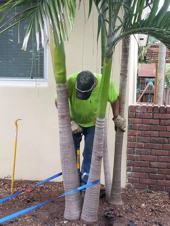 Expert yard cleanup service for homes across Hialeah, FL - Eco Green Lawn & Pest Control