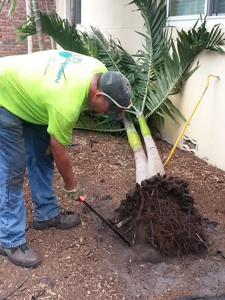 Trusted residential landscaping in Hialeah, FL by Eco Green Lawn & Pest Control