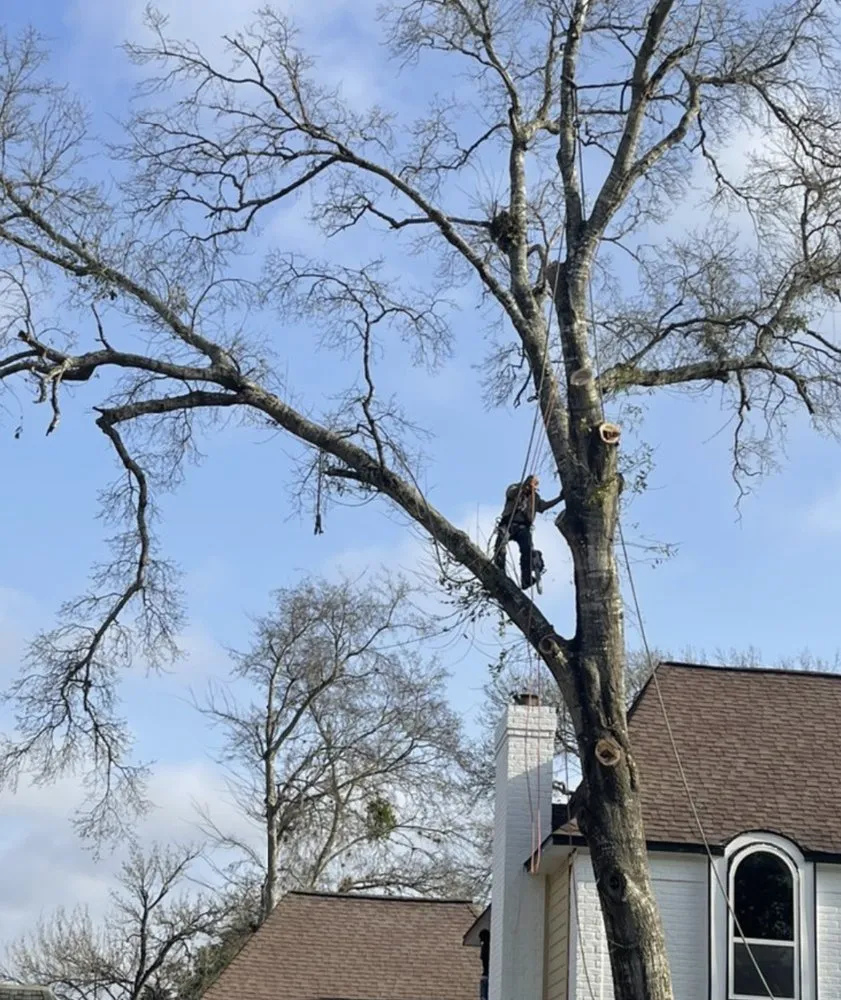 Custom landscape design for residential properties in Lakeland, FL by Eco Green Lawn & Tree's