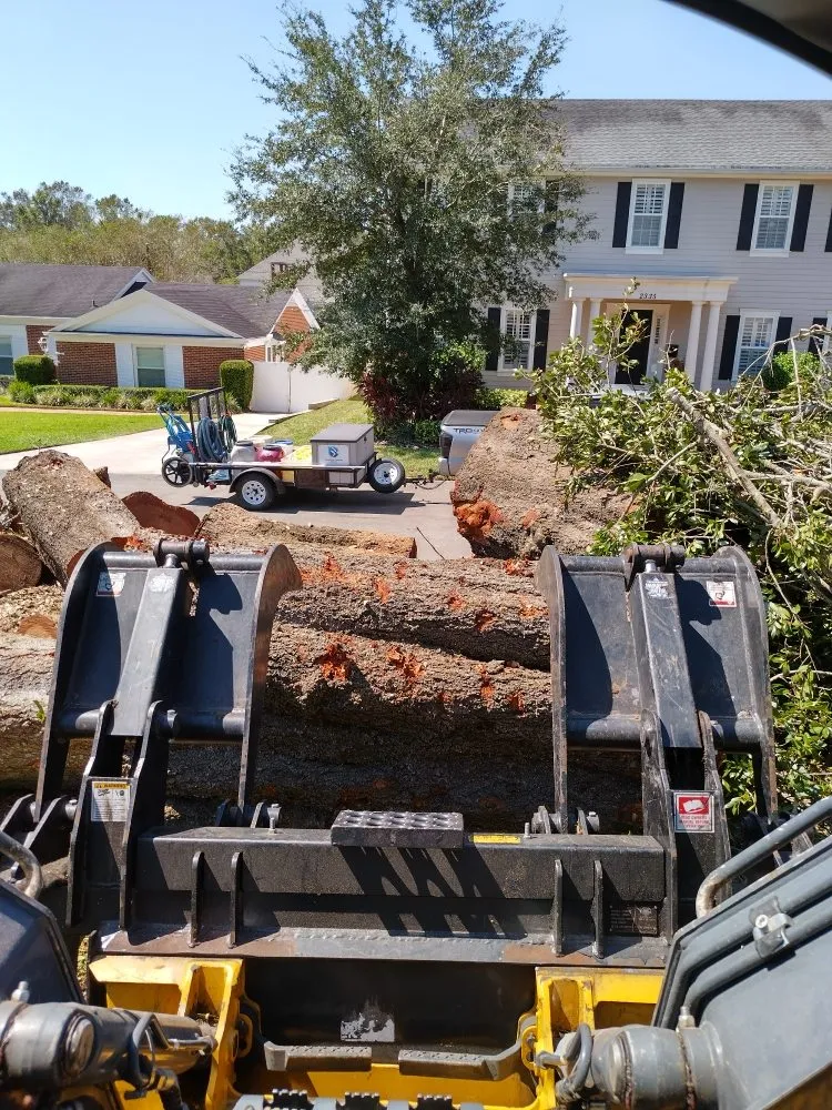 Trusted landscape design experts serving Lakeland, FL - Eco Green Lawn & Tree's