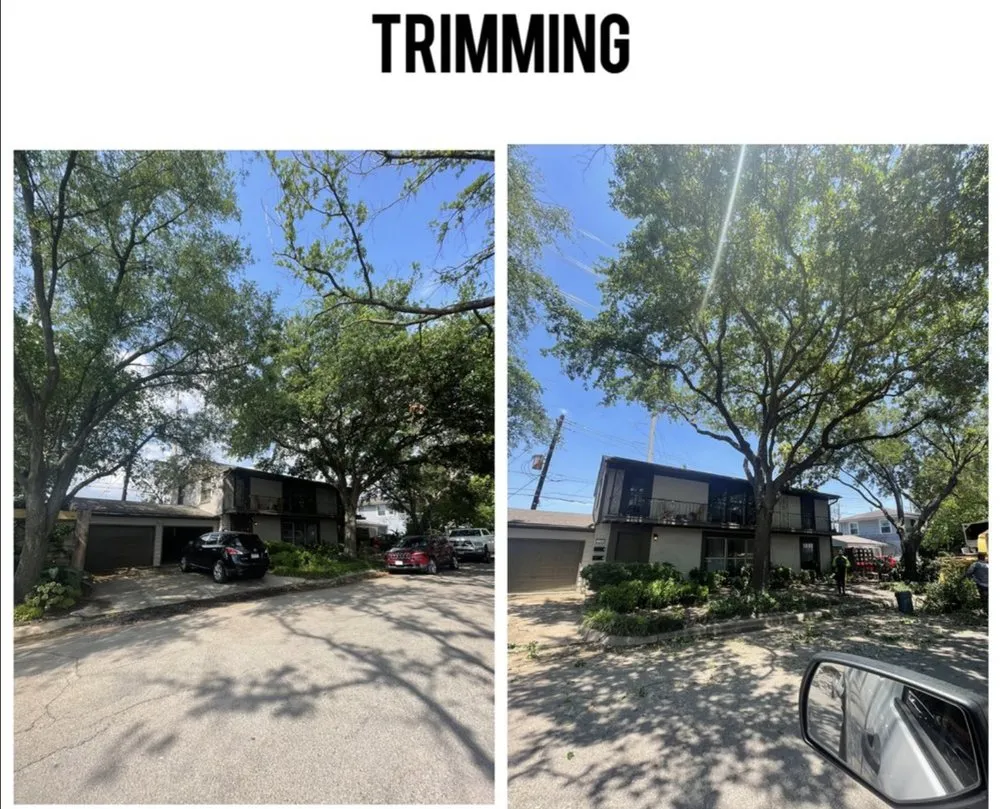 Custom yard cleanup service in Lakeland, FL by Eco Green Lawn & Tree's