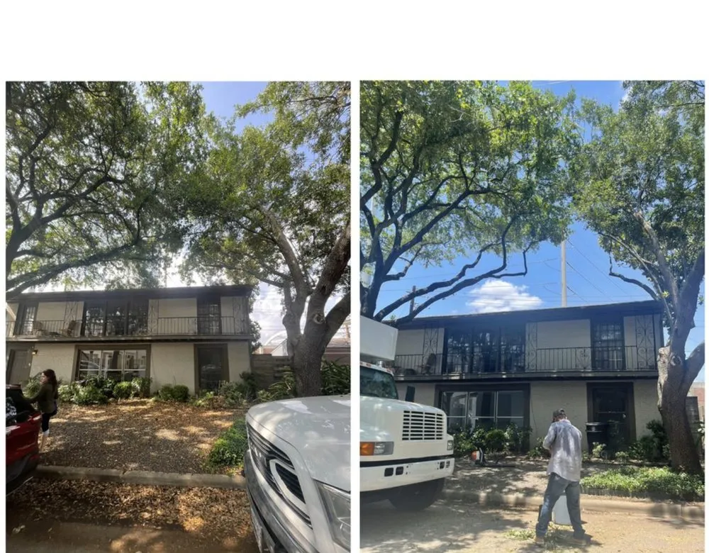 Local yard maintenance in Lakeland, FL by Eco Green Lawn & Tree's