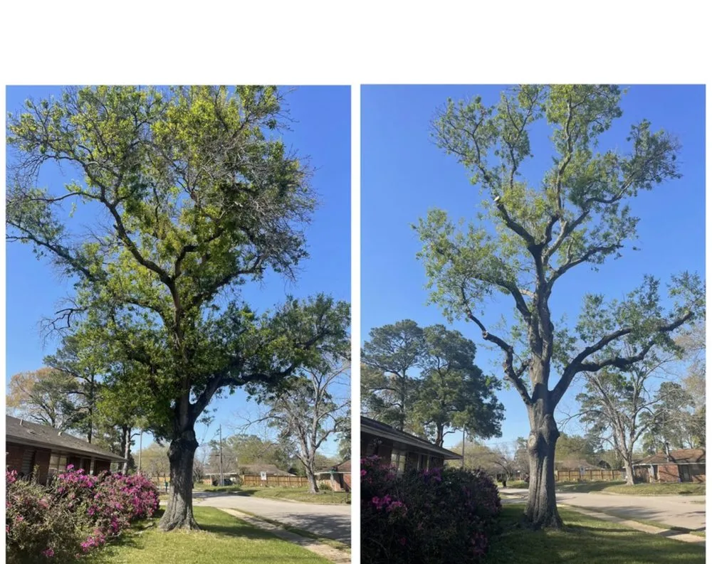 Local lawn mowing service for outdoor upgrades in Lakeland, FL by Eco Green Lawn & Tree's