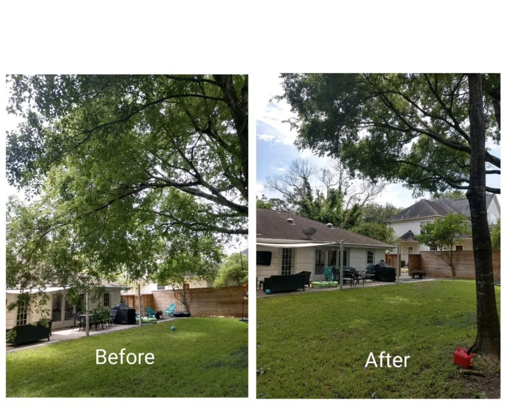 Reliable garden landscaping near you in Lakeland, FL by Eco Green Lawn & Tree's