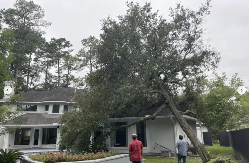 Expert lawn care service for homes across Lakeland, FL - Eco Green Lawn & Tree's