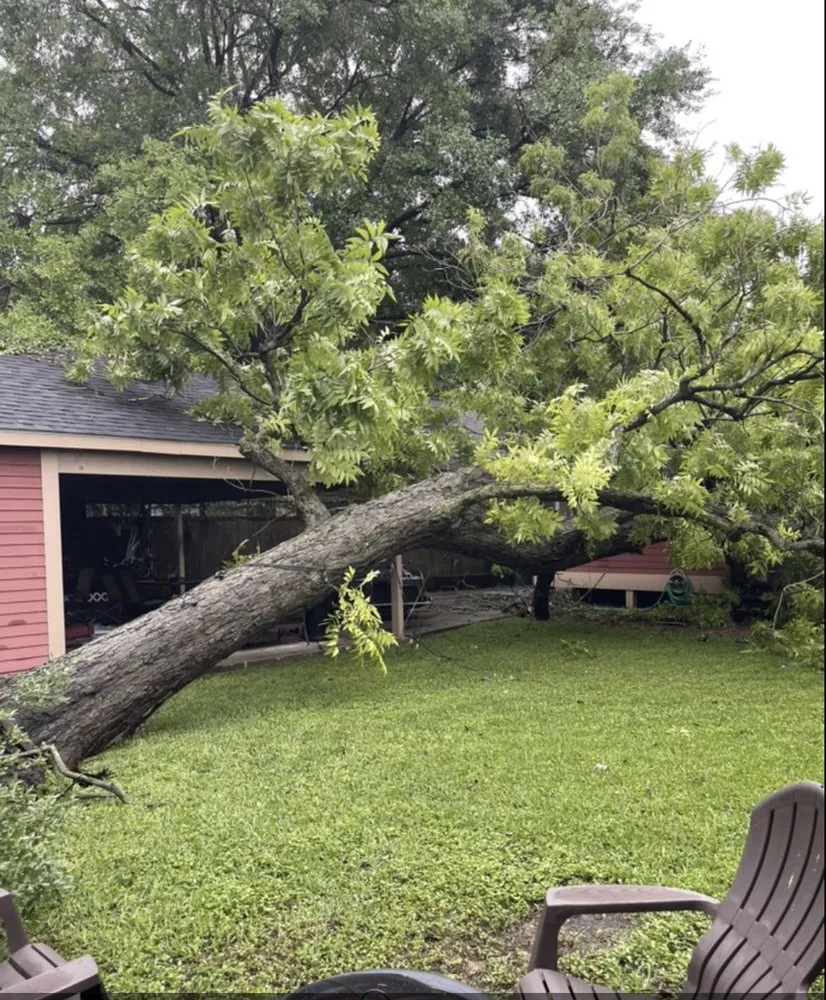 Top-rated garden landscaping in Lakeland, FL by Eco Green Lawn & Tree's