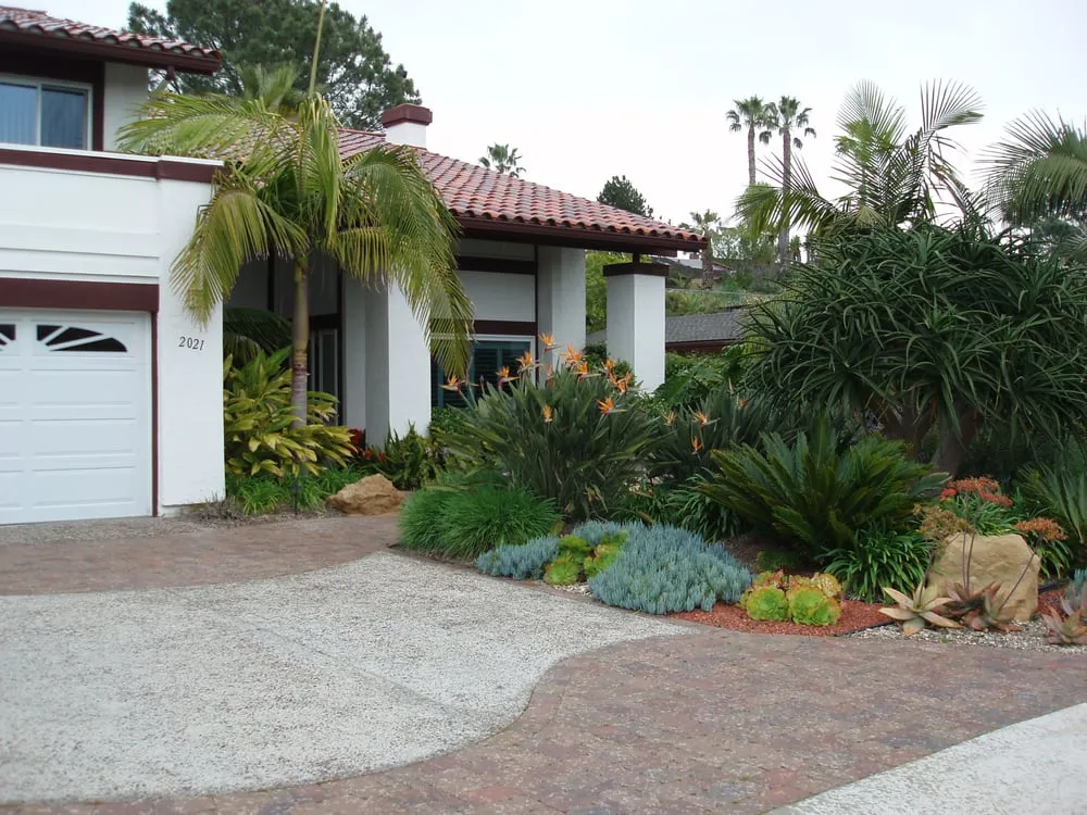 Expert yard maintenance in Vista, CA - Eco-Greenscape
