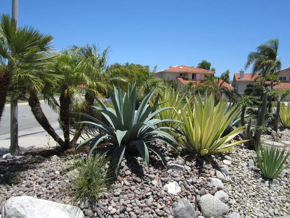 Reliable landscape installation in Vista, CA by Eco-Greenscape