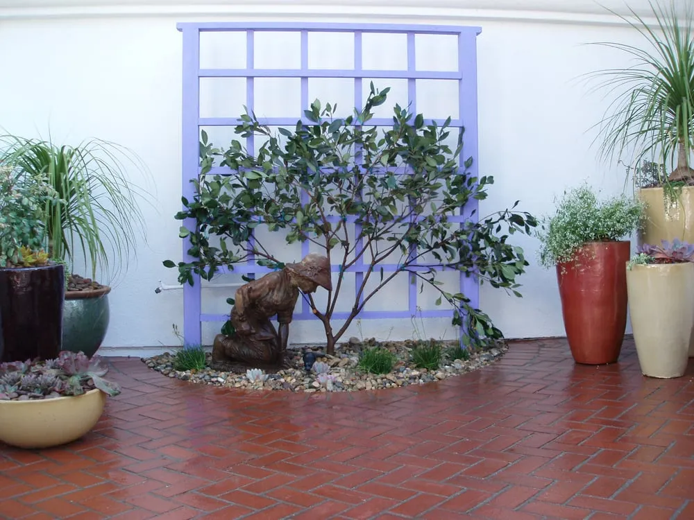 Affordable yard cleanup service for year-round maintenance across Vista, CA - Eco-Greenscape