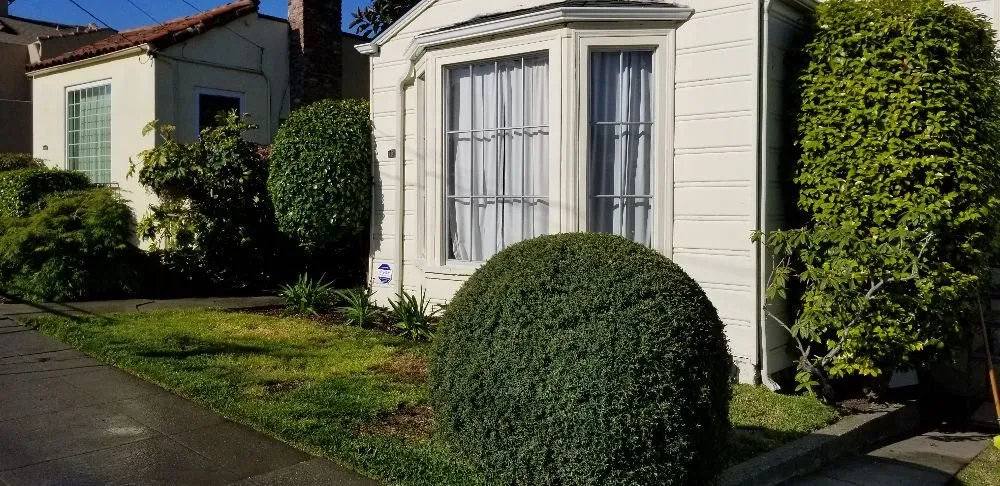 Local landscape design in San Pablo, CA by Eco Grounds Landscaping