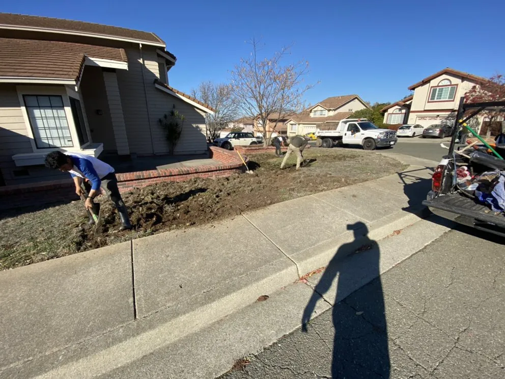 Local outdoor landscaping for beautiful yards in San Pablo, CA by Eco Grounds Landscaping