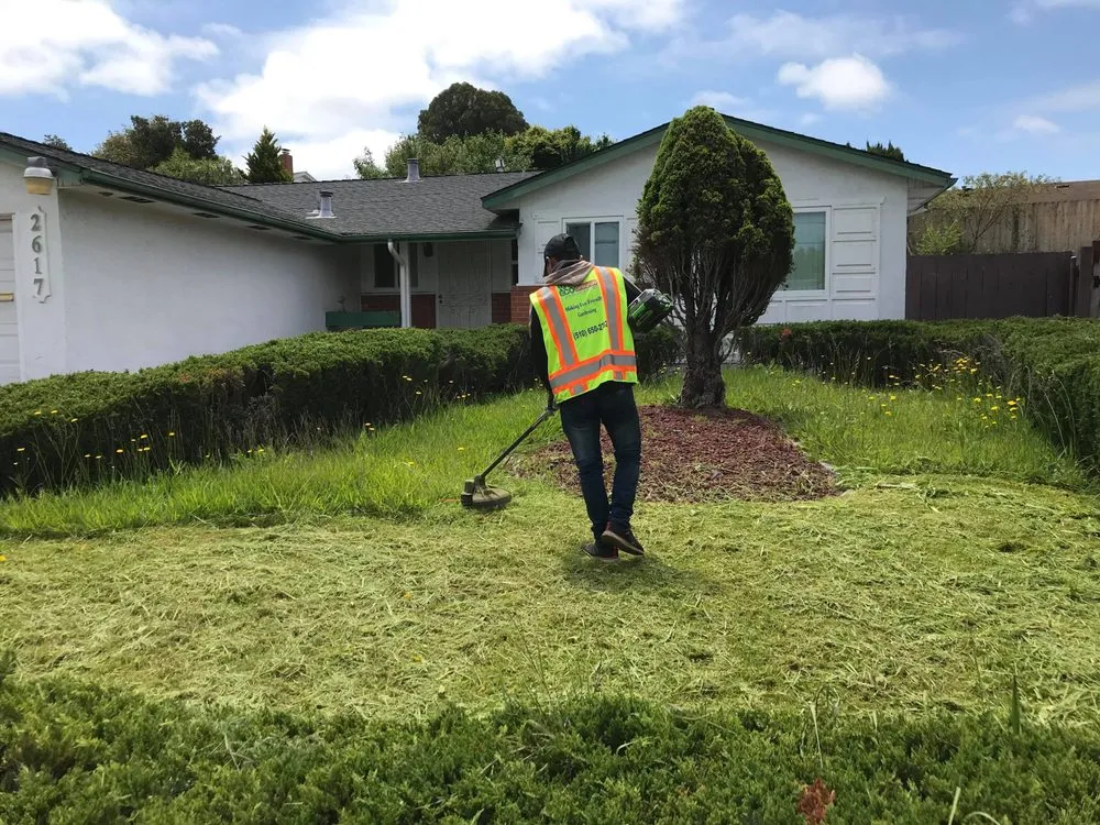 Affordable outdoor landscaping experts serving San Pablo, CA - Eco Grounds Landscaping