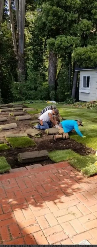 Professional yard maintenance in San Pablo, CA by Eco Grounds Landscaping