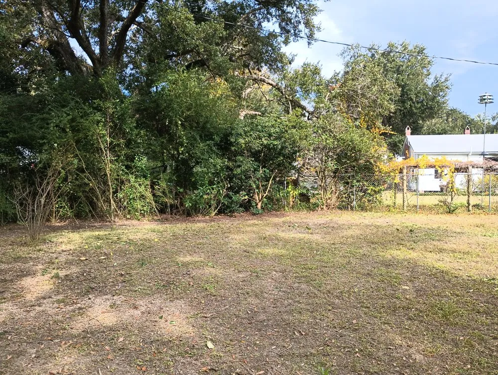 Custom yard cleanup service experts serving Pace, FL - Eco Heroes